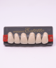 WIEDENT ESTETIC UPPER ANTERIORS SHADE B1