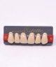 WIEDENT ESTETIC UPPER ANTERIORS SHADE B2