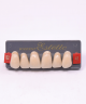 WIEDENT ESTETIC UPPER ANTERIORS SHADE B2