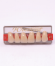 WIEDENT ESTETIC UPPER ANTERIORS SHADE D4