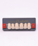 WIEDENT ESTETIC UPPER ANTERIORS SHADE A1