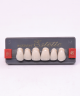 WIEDENT ESTETIC UPPER ANTERIORS SHADE B1