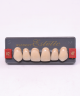 WIEDENT ESTETIC UPPER ANTERIORS SHADE A2