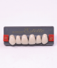 WIEDENT ESTETIC UPPER ANTERIORS SHADE B1