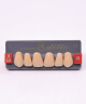 WIEDENT ESTETIC UPPER ANTERIORS SHADE A3.5