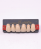 WIEDENT ESTETIC UPPER ANTERIORS SHADE A2