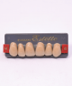 WIEDENT ESTETIC UPPER ANTERIORS SHADE A4