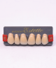 WIEDENT ESTETIC UPPER ANTERIORS SHADE B3