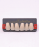 WIEDENT ESTETIC UPPER ANTERIORS SHADE C1