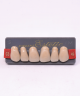 WIEDENT ESTETIC UPPER ANTERIORS SHADE C3