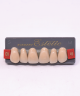 WIEDENT ESTETIC UPPER ANTERIORS SHADE D3