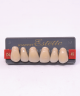 WIEDENT ESTETIC UPPER ANTERIORS SHADE D4