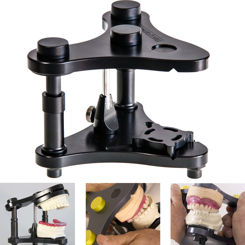 Articulator