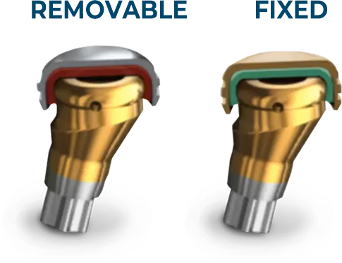 LOCATOR ANGLED ABUTMENTS
