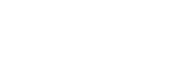 LOCATOR ANGLED ABUTMENTS