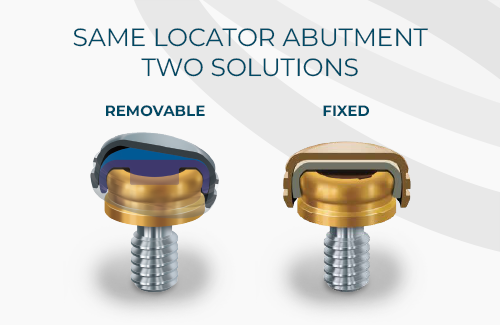 IPD Abutments